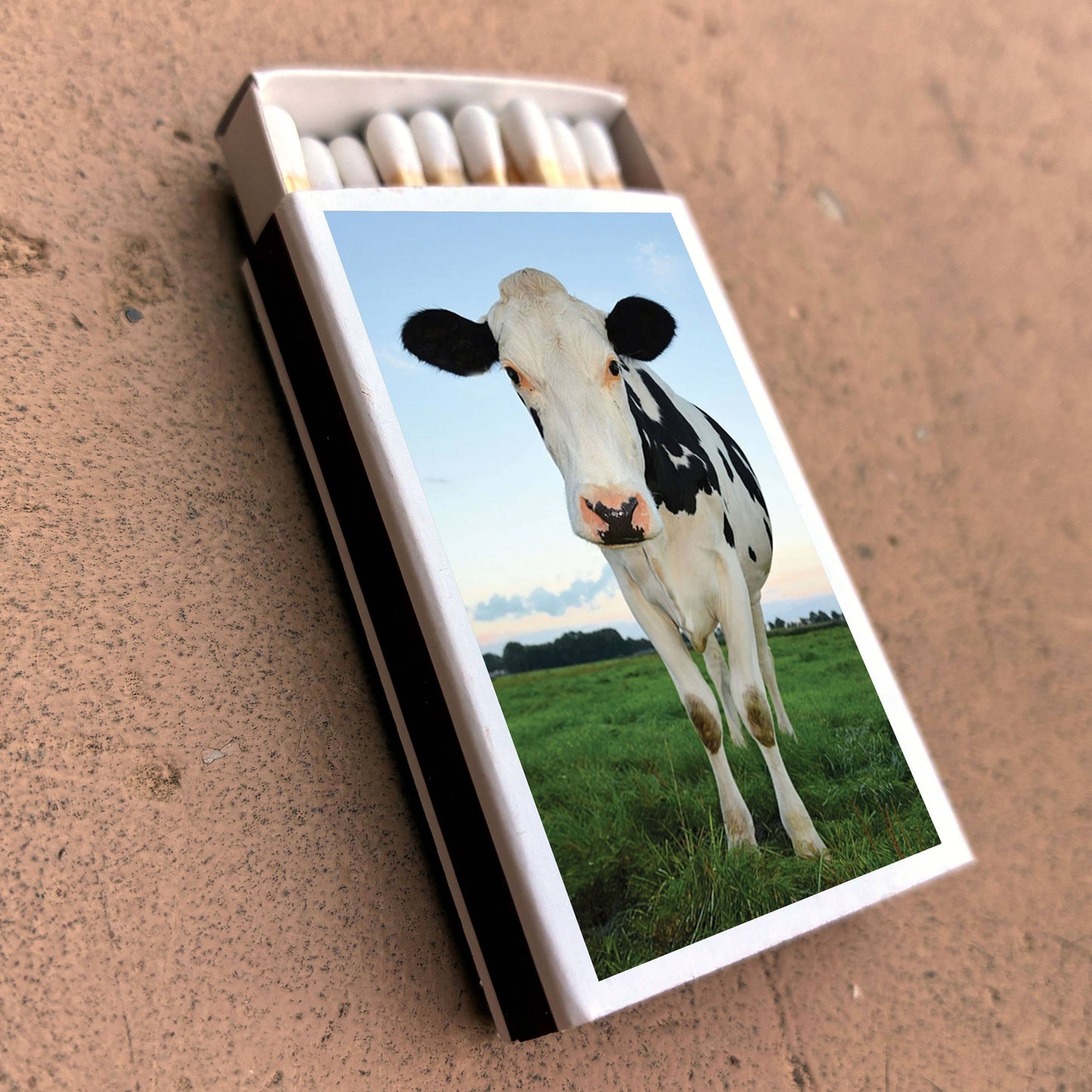 Matches - Cow Matchboxes