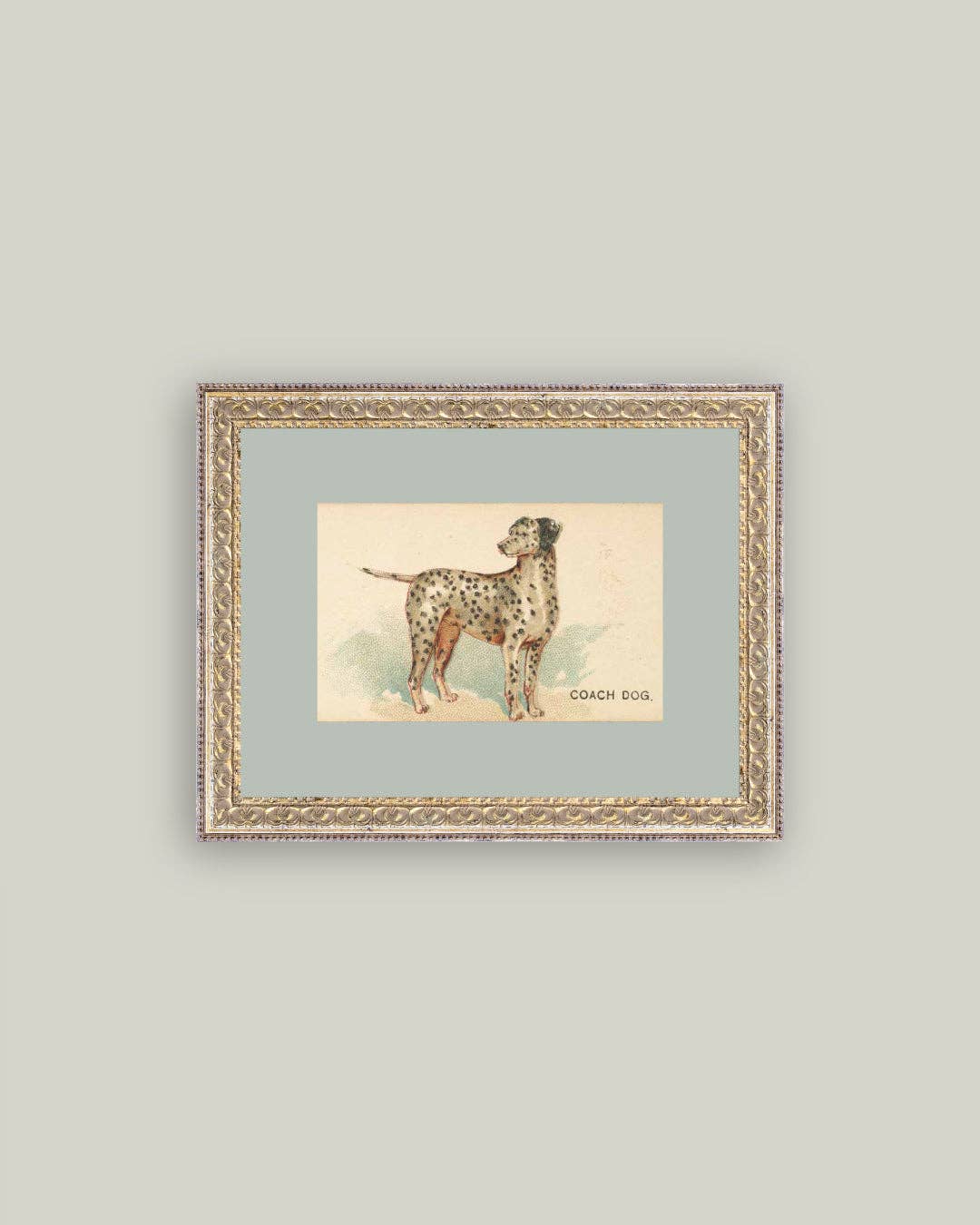 Dalmation Framed Antique Art