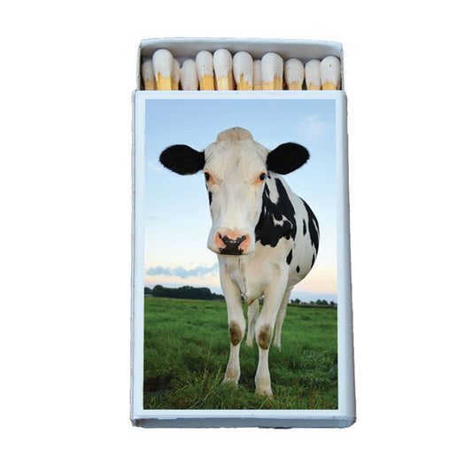 Matches - Cow Matchboxes