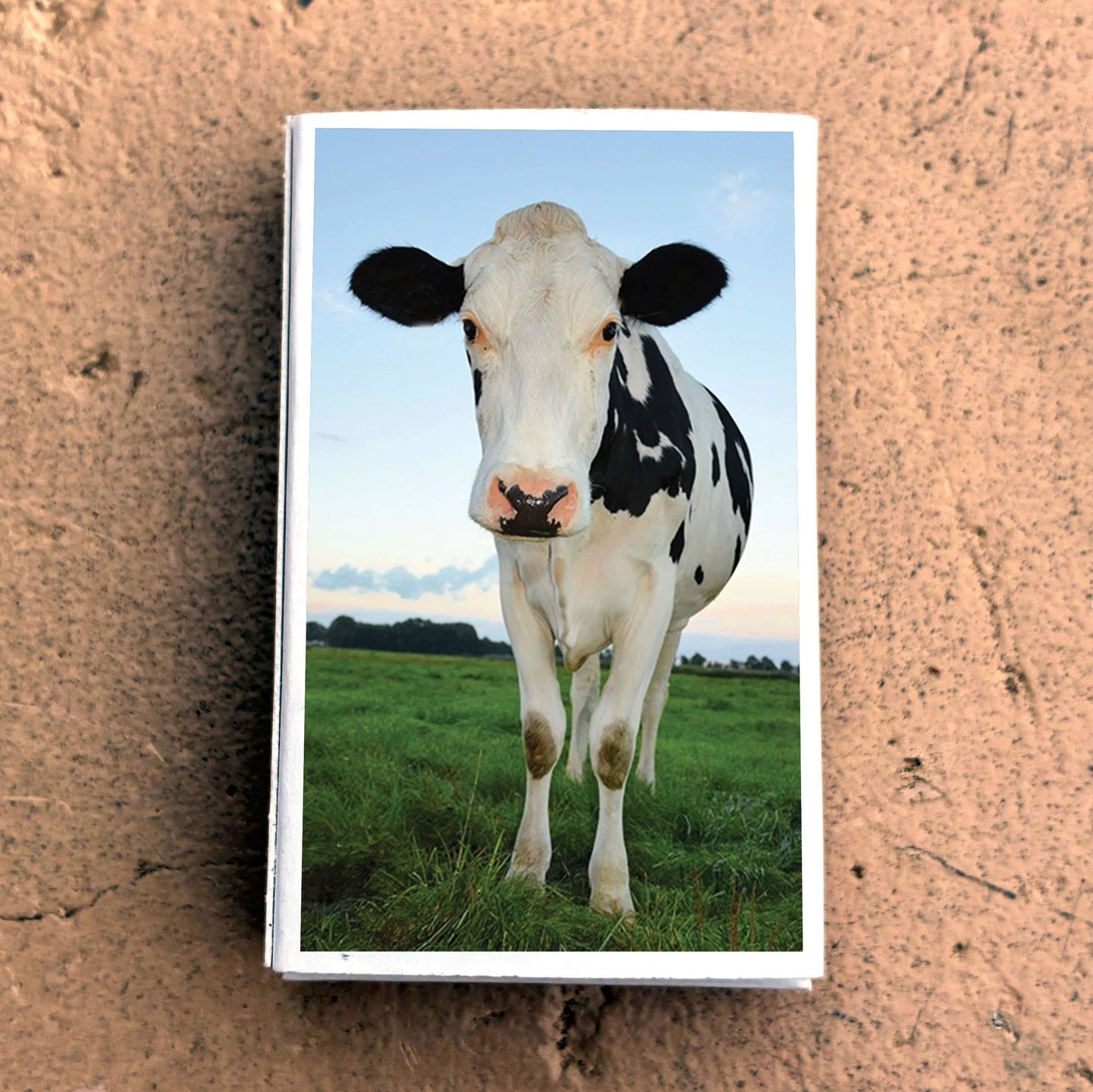 Matches - Cow Matchboxes
