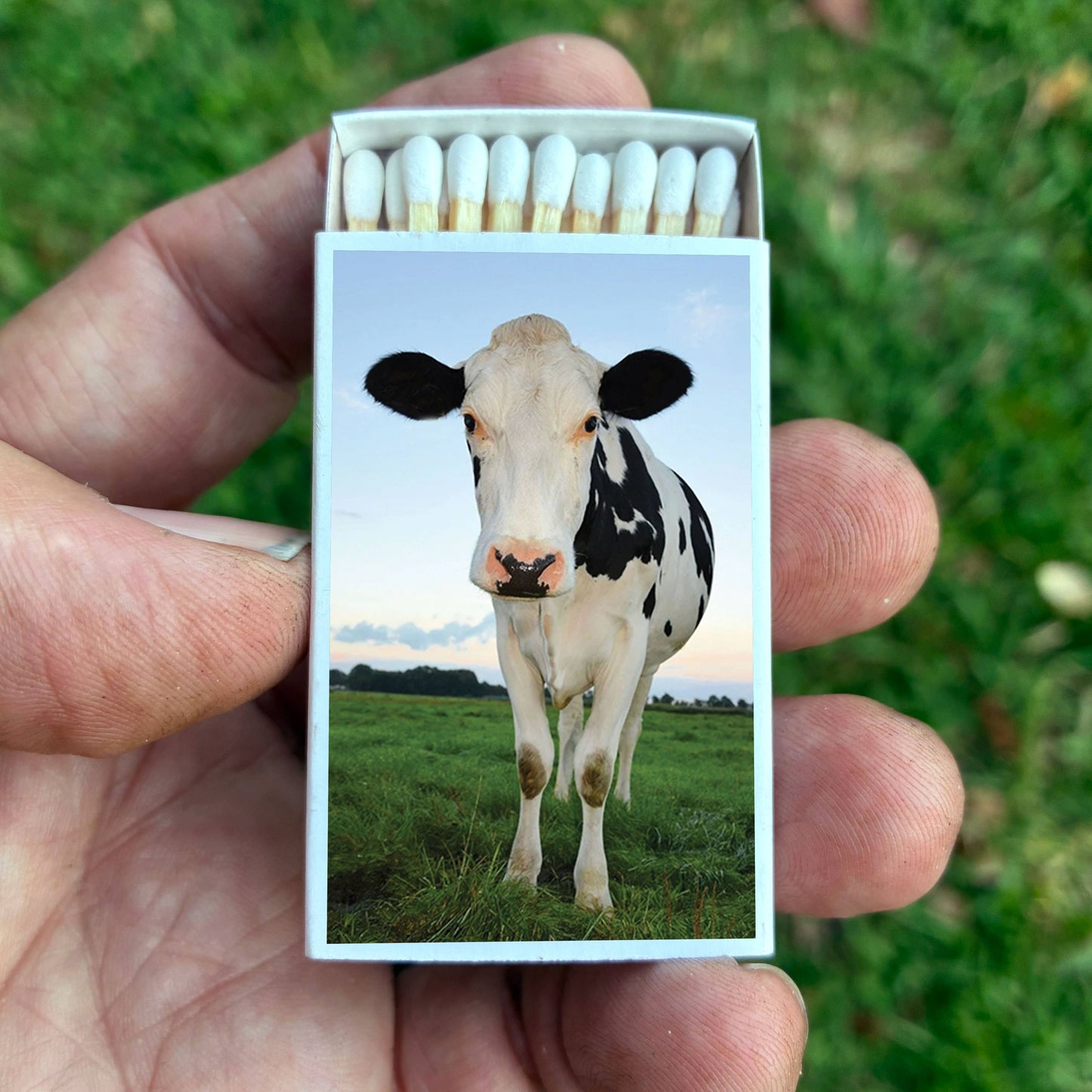 Matches - Cow Matchboxes