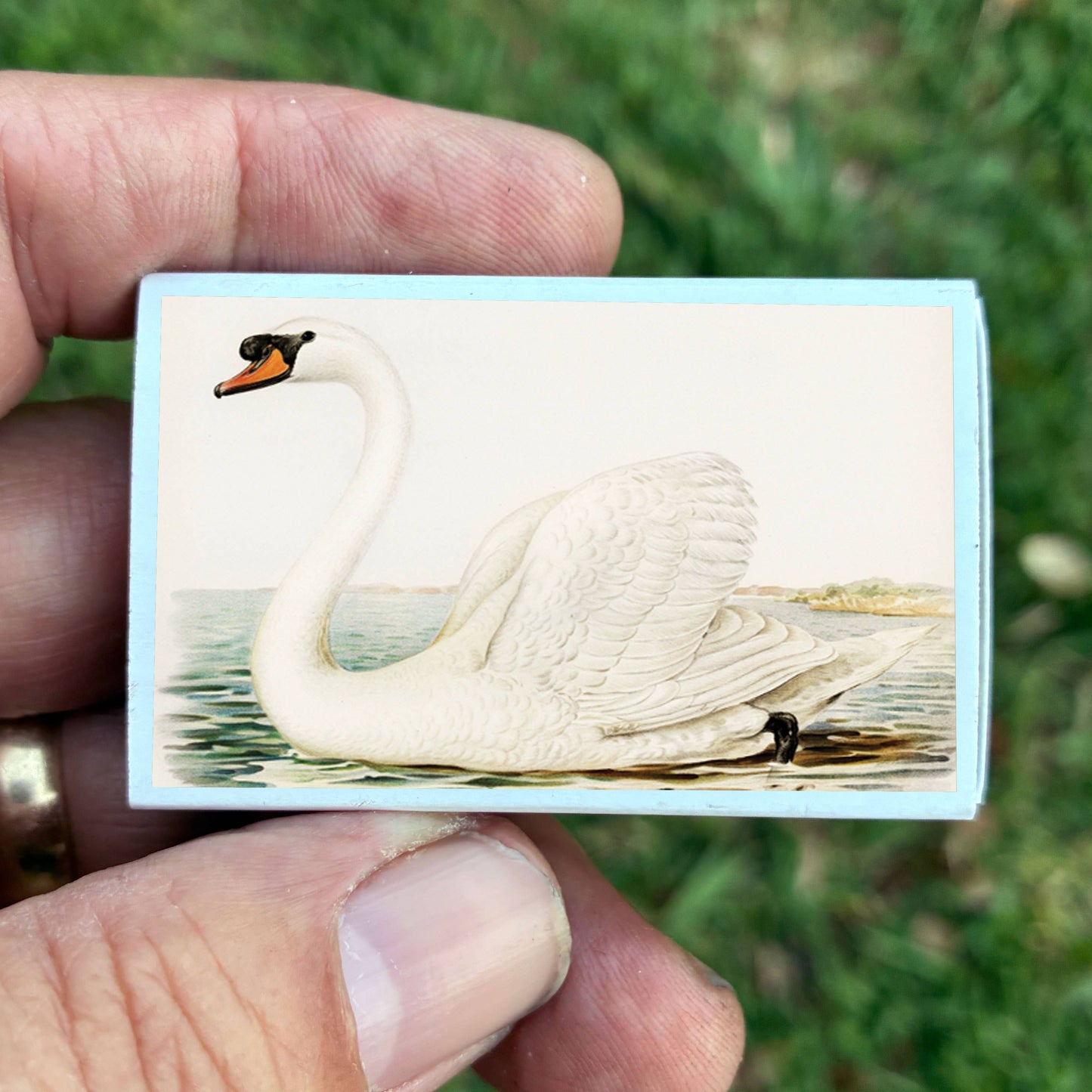 Matches - Swan Matchboxes