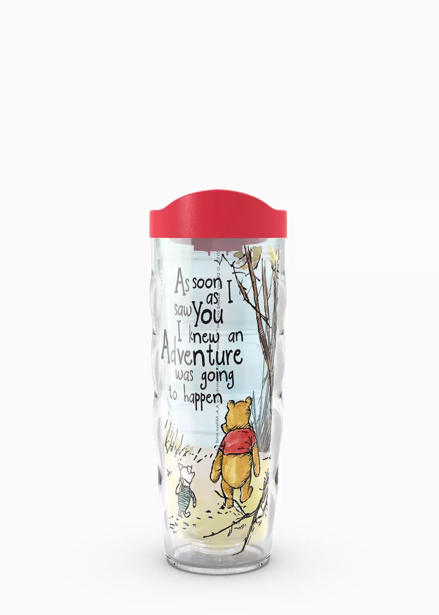 DISNEY WINNIE THE POOH ADVENTURE - 10 OZ