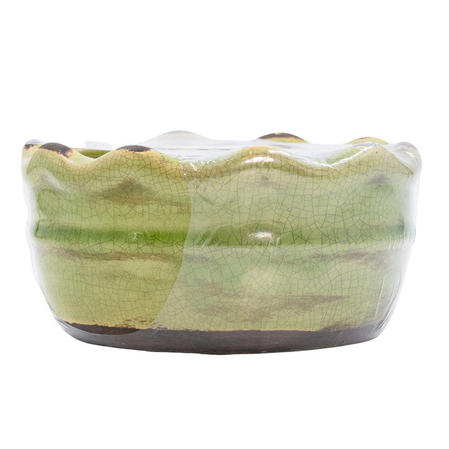 RUFFLED BOWL - FRESH CUT CHRISTMAS TREES