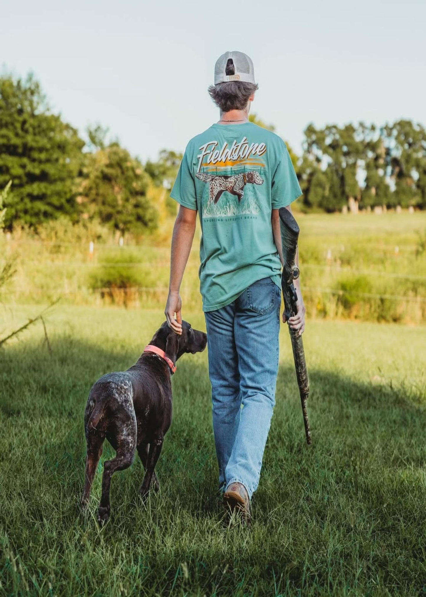 ENGLISH SETTER : BAY DIS
